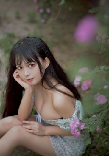 苍兰诀电视剧免费观看完整版